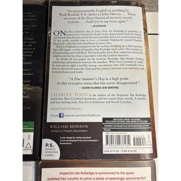 9 Charles Todd Ian Rutledge Mysteries Detective Mystery Fiction Paperback - Picture 14 of 16